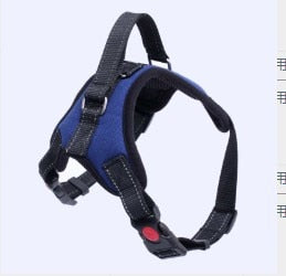Pet Harness