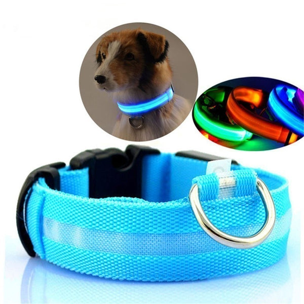 LED Collar
