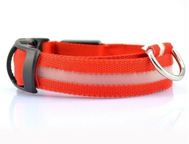 LED Collar