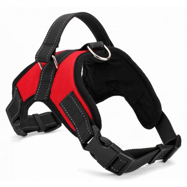Pet Harness
